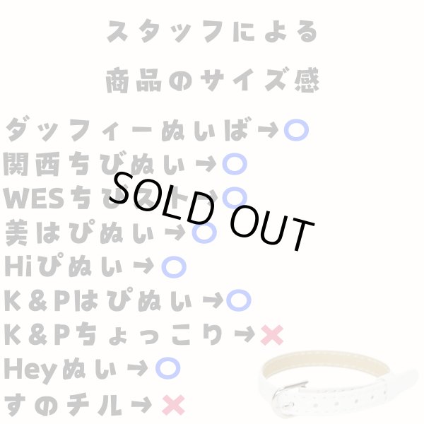 画像2: ベルトA aba (2)