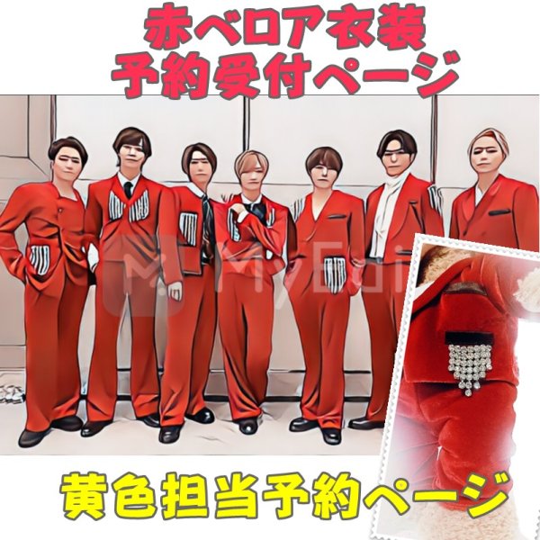 画像1: 【予約受付中】ダッフィー Sサイズ 赤ベロア 服 コスチューム 衣装 松 IM04 (1)