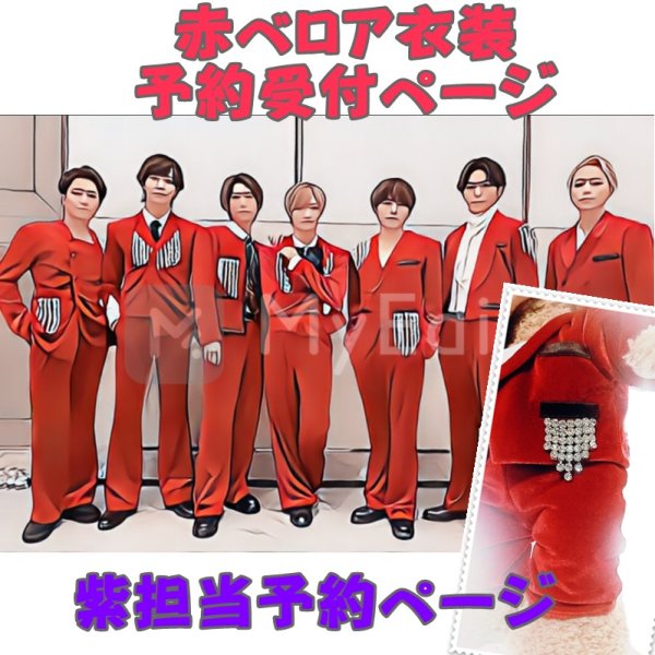 画像1: 【予約受付中】ダッフィー Sサイズ 赤ベロア 服 コスチューム 衣装 横 IM07 (1)