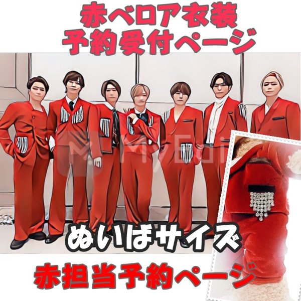 画像1: 【予約受付中】ダッフィー ぬいばサイズ 赤ベロア 服 コスチューム 衣装 影 IM11 (1)