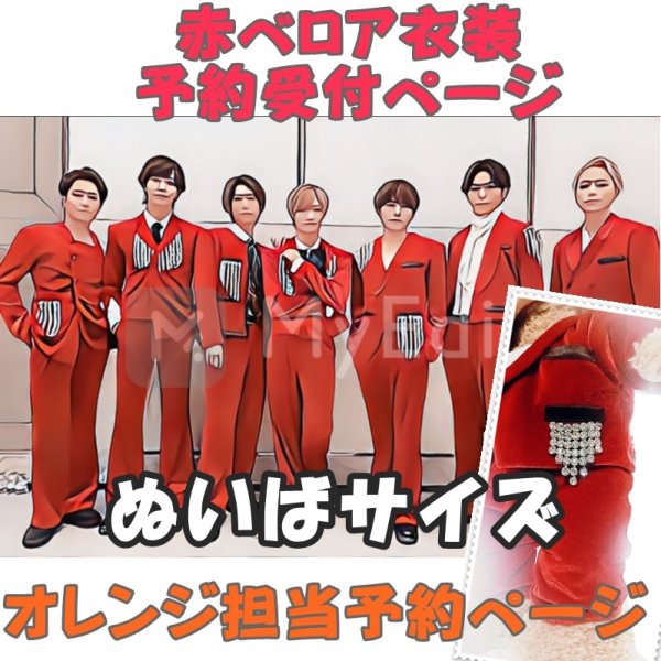 画像1: 【予約受付中】ダッフィー ぬいばサイズ 赤ベロア 服 コスチューム 衣装 椿 IM13 (1)