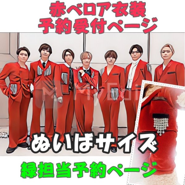 画像1: 【予約受付中】ダッフィー ぬいばサイズ 赤ベロア 服 コスチューム 衣装 基 IM15 (1)