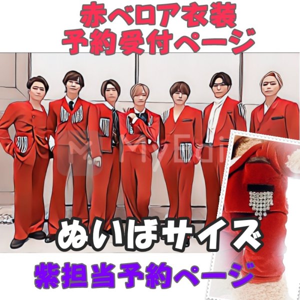 画像1: 【予約受付中】ダッフィー ぬいばサイズ 赤ベロア 服 コスチューム 衣装 横 IM17 (1)