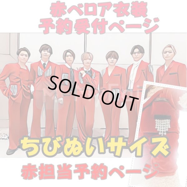 画像1: 【予約受付中】ちびぬいサイズ 赤ベロア 服 コスチューム 衣装 影 IM21 (1)