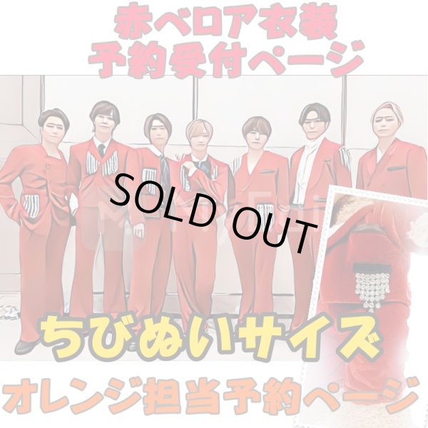 画像1: 【予約受付中】ちびぬいサイズ 赤ベロア 服 コスチューム 衣装 椿 IM23 (1)