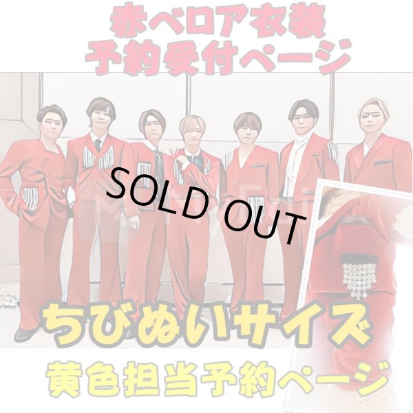 画像1: 【予約受付中】ちびぬいサイズ 赤ベロア 服 コスチューム 衣装 松 IM24 (1)