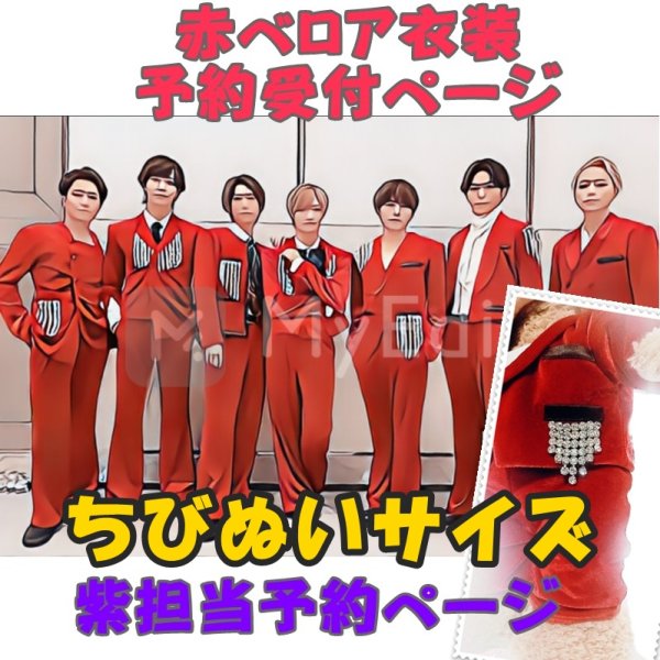 画像1: 【予約受付中】ちびぬいサイズ 赤ベロア 服 コスチューム 衣装 横 IM27 (1)
