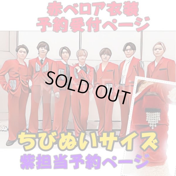 画像1: 【予約受付中】ちびぬいサイズ 赤ベロア 服 コスチューム 衣装 横 IM27 (1)