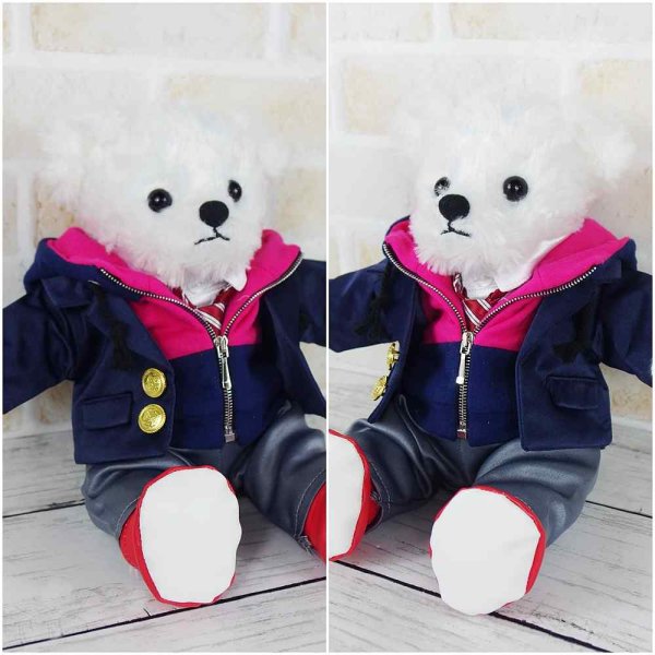 画像2: 【予約受付中】 キンプリベア 衣装 2022 紫 コスチューム 服 kp535 (2)