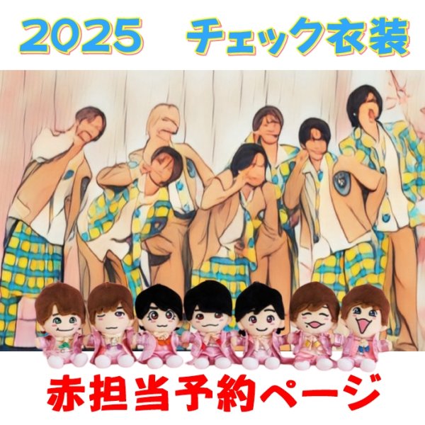 画像1: 【予約受付中】 ちびぬい 2025 チェック柄 コスチューム  na561 (1)