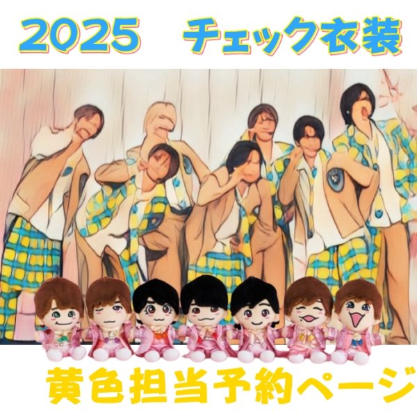 画像1: 【予約受付中】 ちびぬい 2025 チェック柄 コスチューム  na563 (1)
