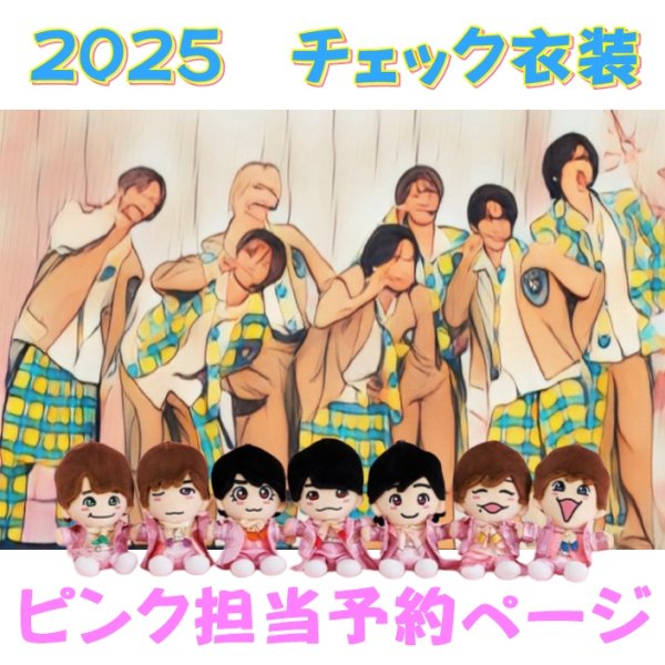 画像1: 【予約受付中】 ちびぬい 2025 チェック柄 コスチューム  na564 (1)