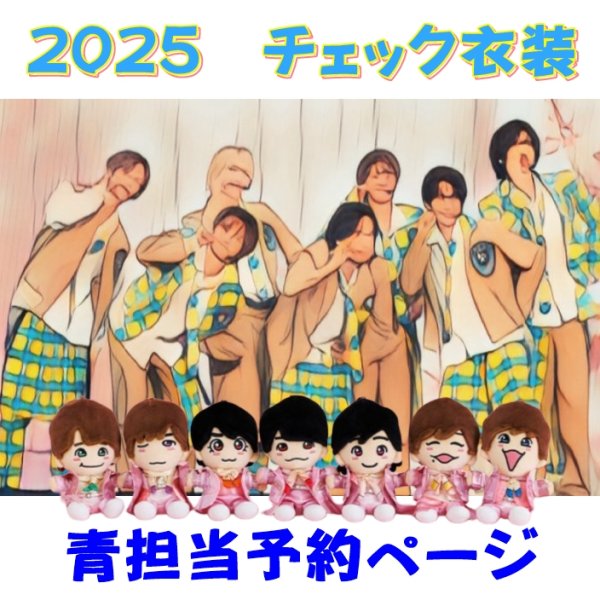 画像1: 【予約受付中】 ちびぬい 2025 チェック柄 コスチューム  na566 (1)