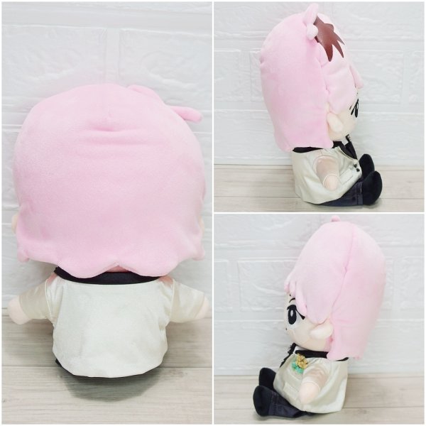 画像4: 2025 スタジアム スーツ (すのチル小/BIG選択) ピンク担当 sn432 (4)