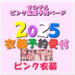 画像1: 【予約受付中】 2025 スタジアム ピンク衣装 (すのチル小/BIG選択) ピンク担当 sn452 (1)
