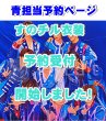 画像1: 【予約受付中】 新ターコイズ衣装  (すのチル小/BIG選択) 青担当 sn517 (1)